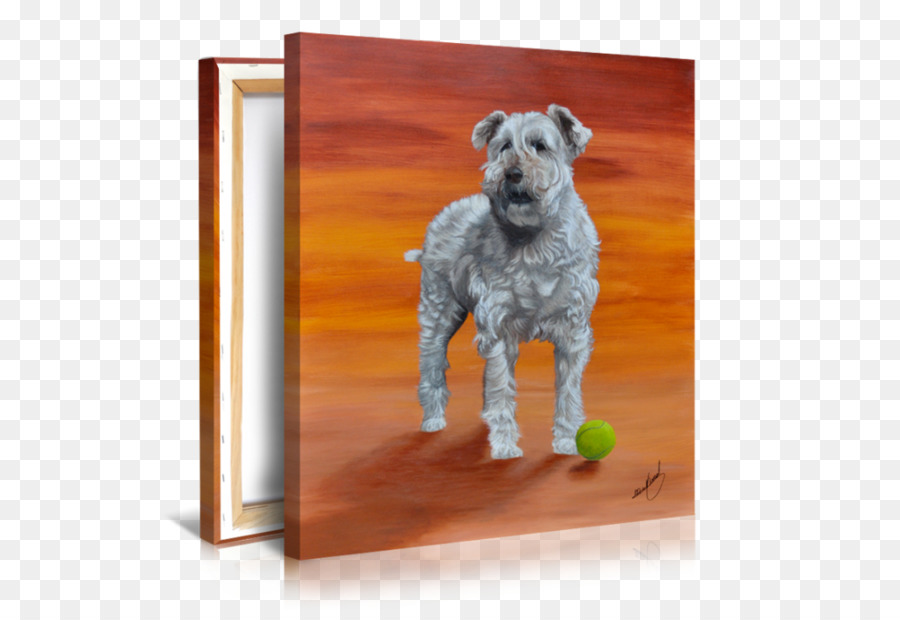 Schnoodle，Lakeland Terrier PNG