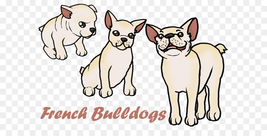 Bulldog Francés，Cachorro PNG