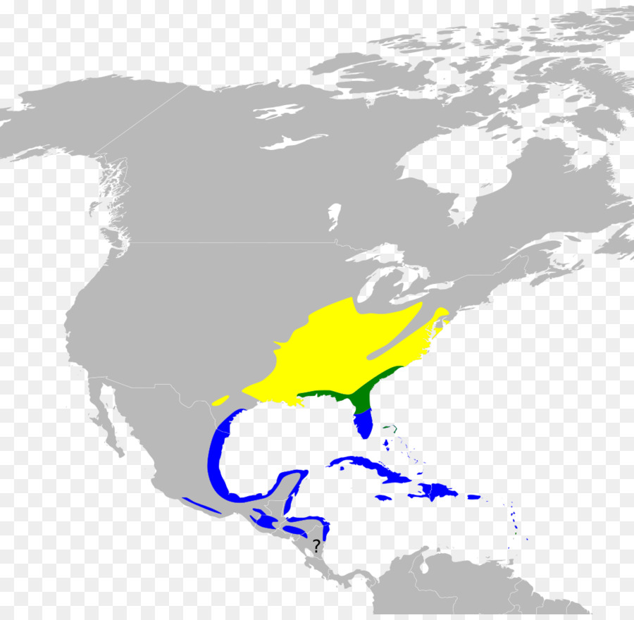 Estados Unidos，Mapa Del Mundo PNG