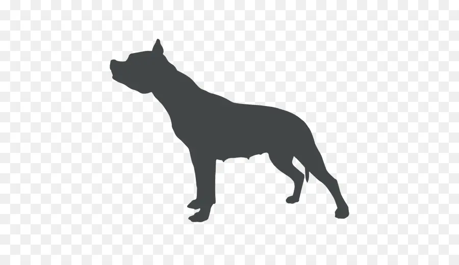 Raza De Perro，Cachorro PNG