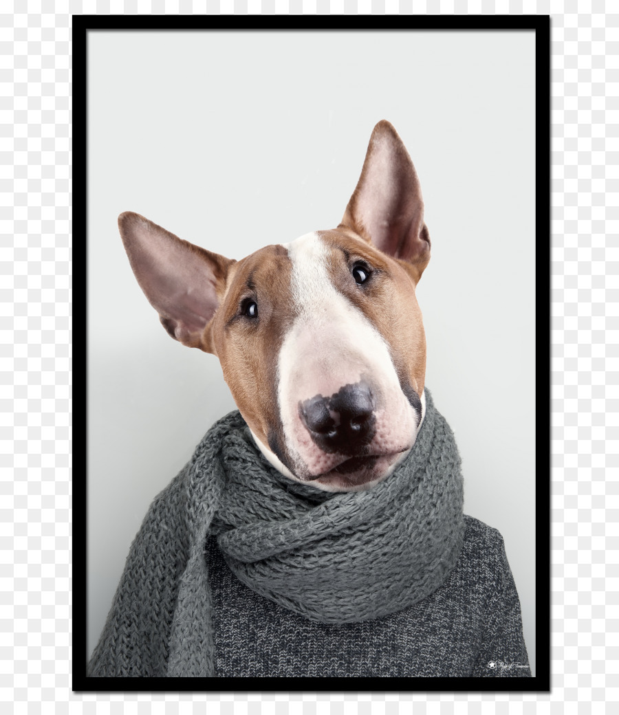 Bull Terrier，Bull Terrier Miniatura PNG