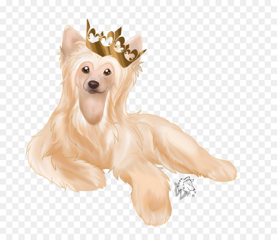 Cachorro，Perro De Juguete PNG