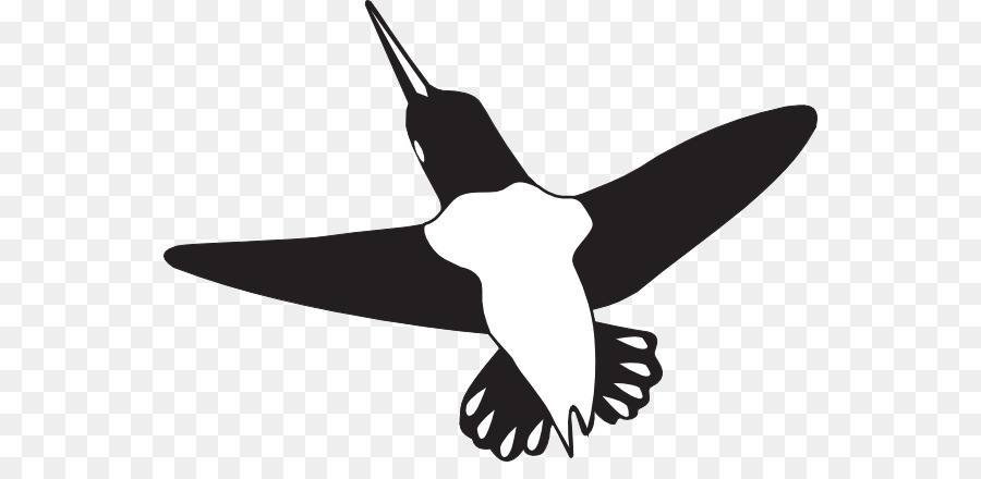 Pájaro Negro，Vuelo PNG