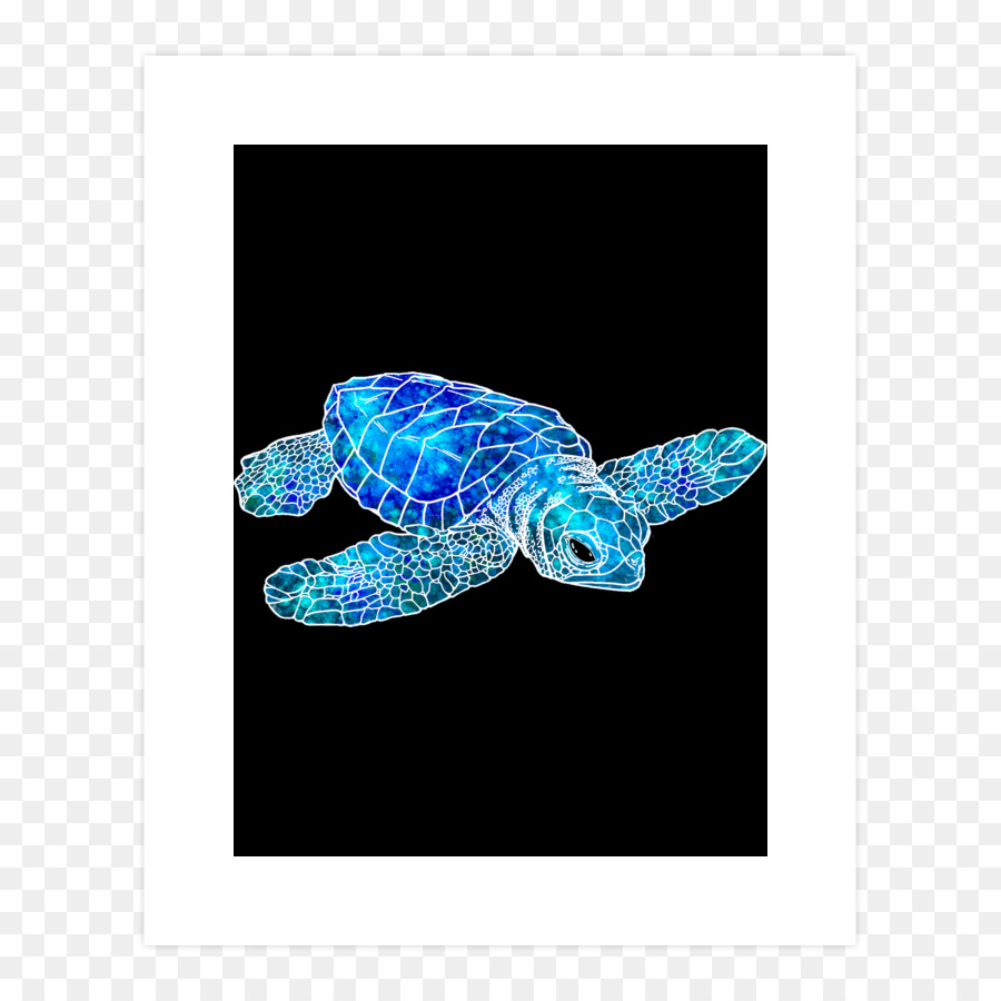 Tortuga De Mar，Tortuga PNG