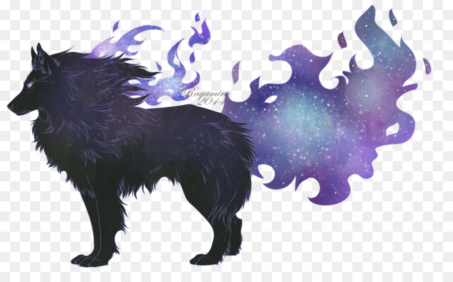 Raza De Perro，Schipperke PNG