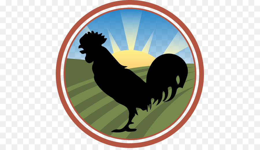 Pollo，El Pollo Frito PNG