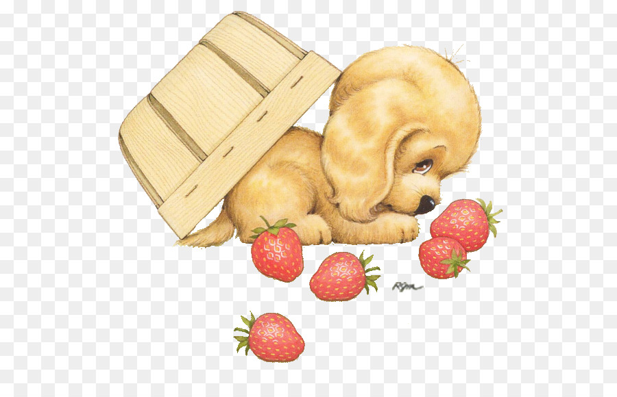 Cachorro，Comida Dietetica PNG