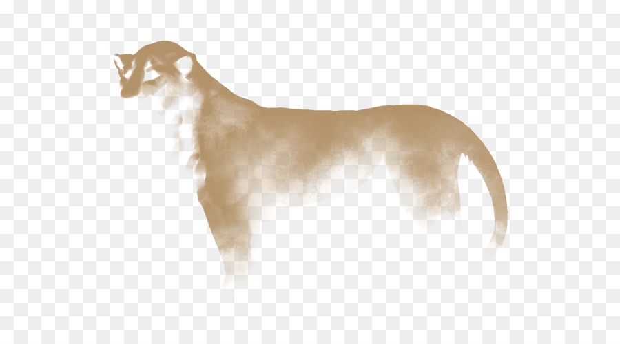 Raza De Perro，Perro PNG