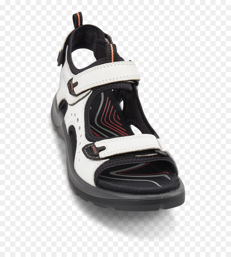 Zapato，Entrenado PNG