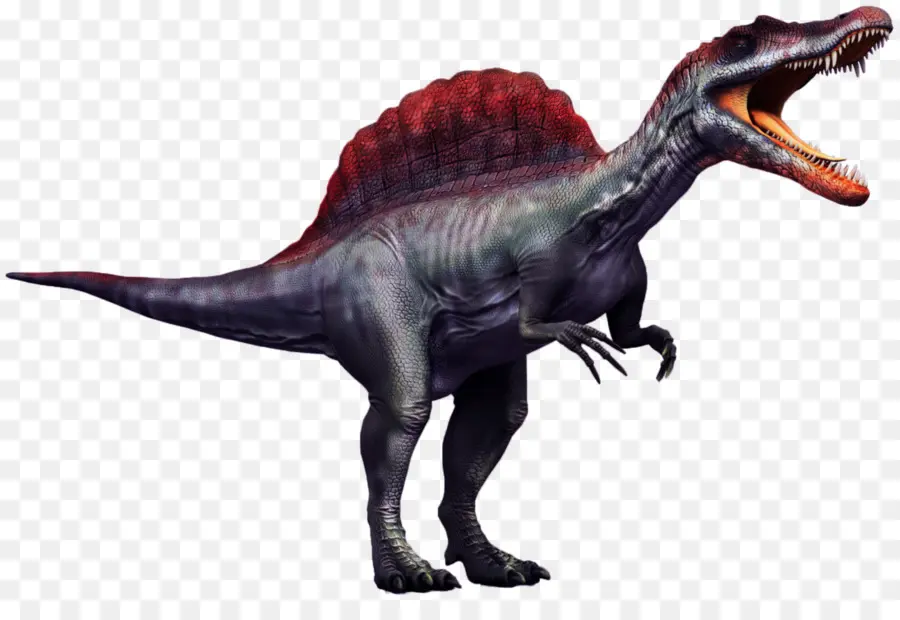 Spinosaurus，Tyrannosaurus PNG