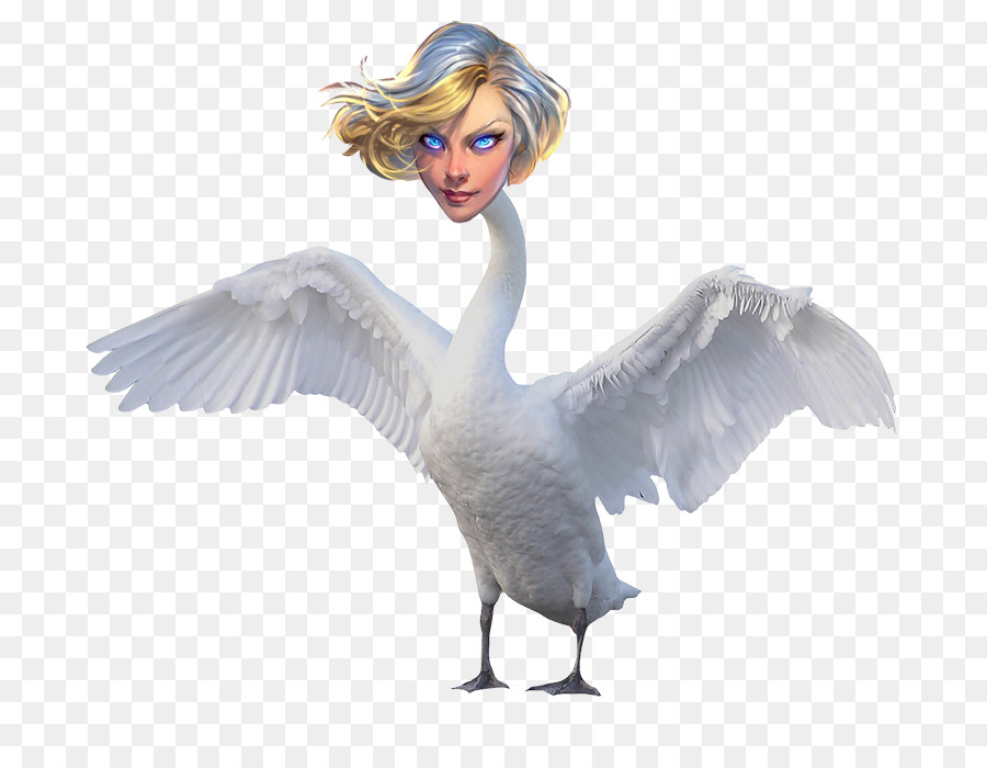 Pato，Ganso PNG