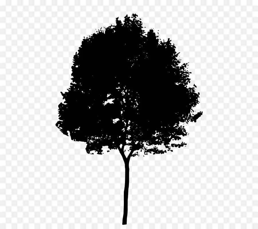 Silueta De árbol Negro，Naturaleza PNG