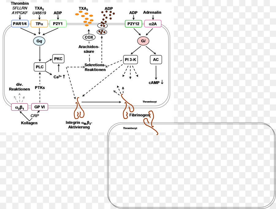 Tecnología，Diagrama PNG