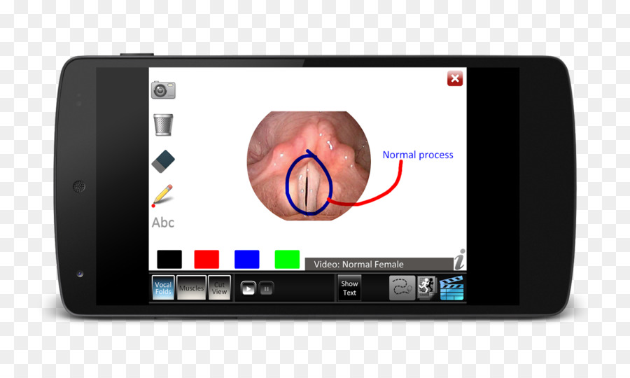 Smartphone，Dispositivo De Visualización PNG