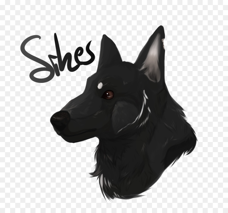 Scottish Terrier，Schipperke PNG