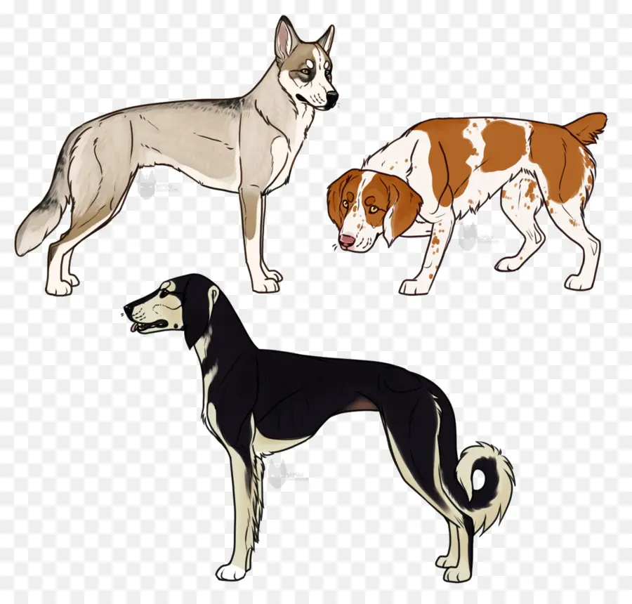 Perros，Mascotas PNG