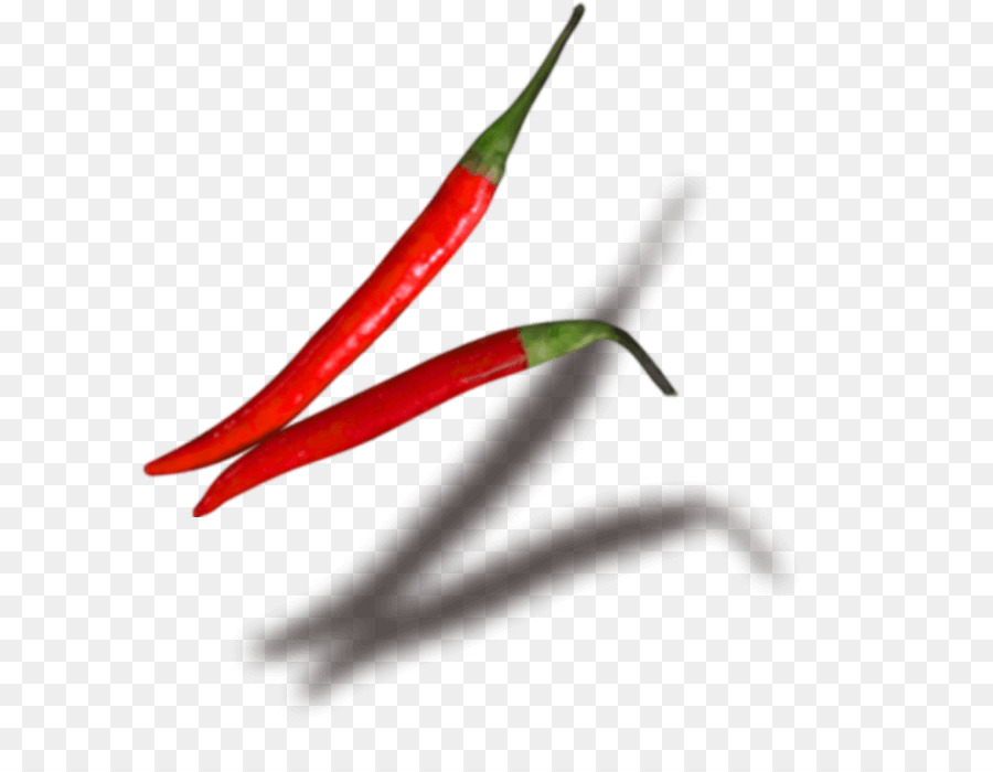 Ojo De Pájaro De Chile，Chile De árbol PNG