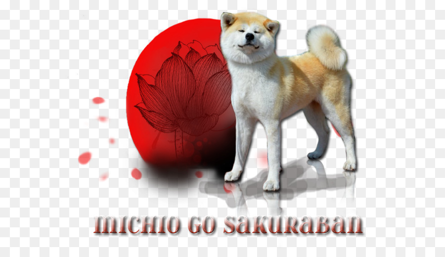 Perro Y Loto，Shiba Inu PNG