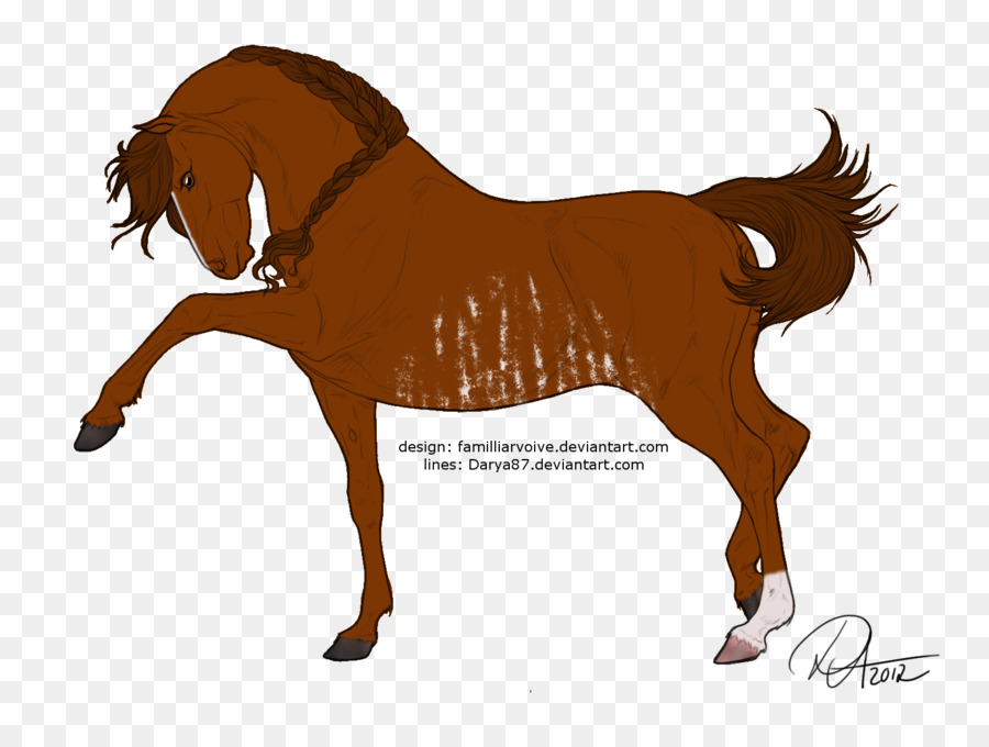 Potro，Pony PNG