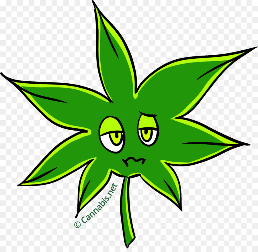 El Cannabis，Kush PNG