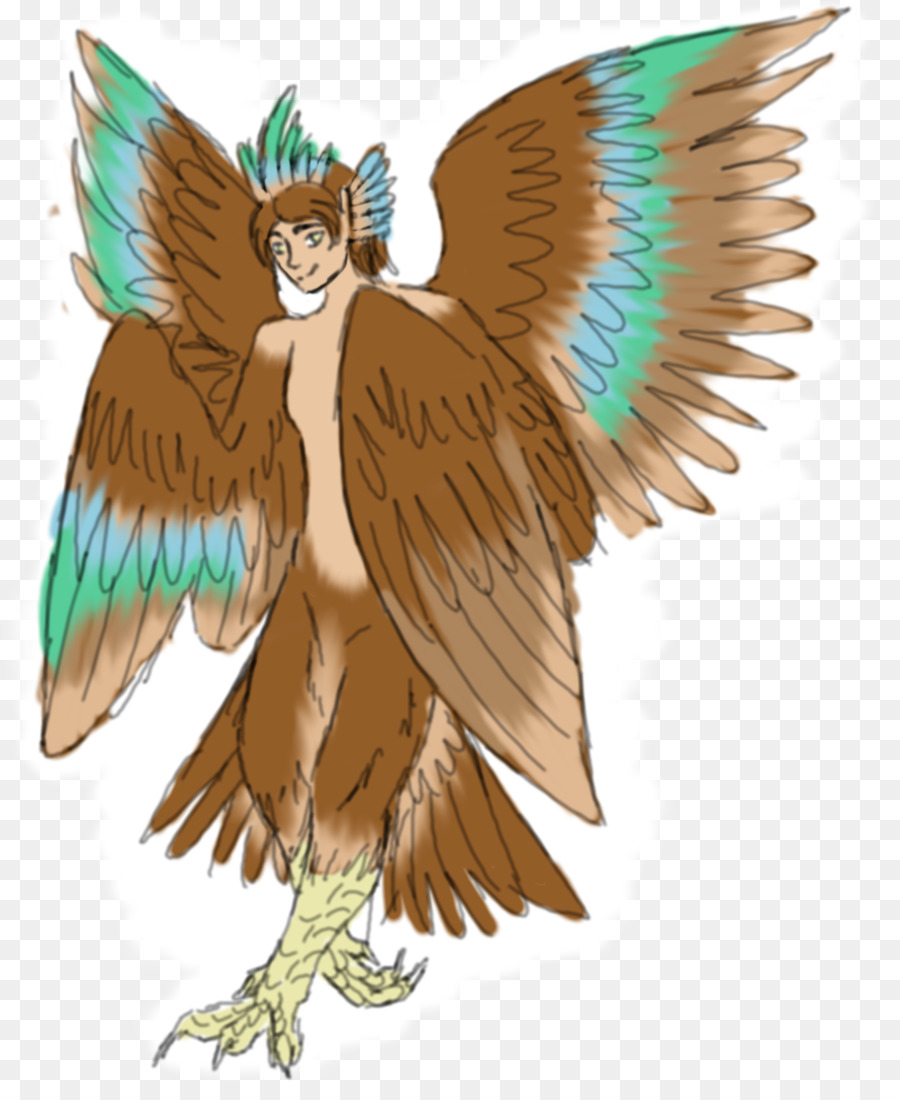 Ala，Aves PNG