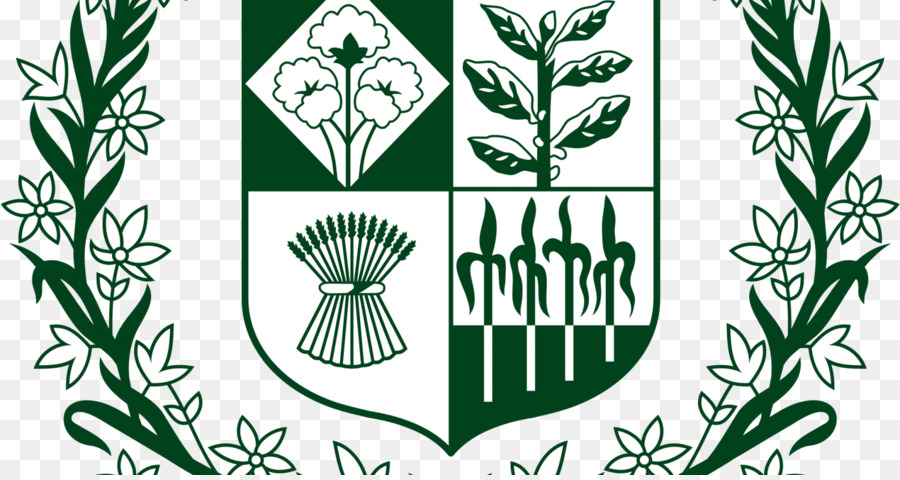 Escudo De Armas，Emblema PNG