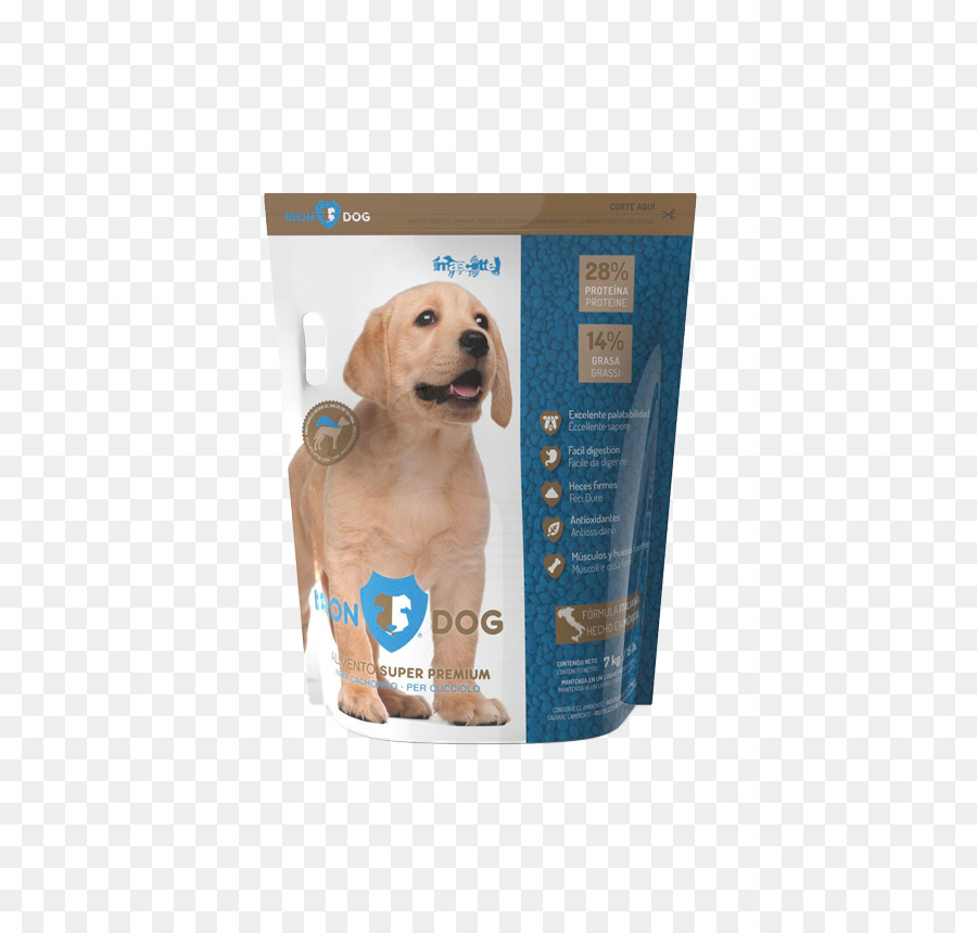 Golden Retriever，Cachorro PNG