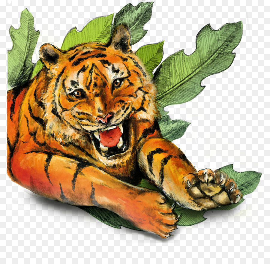 Tigre，Gato PNG