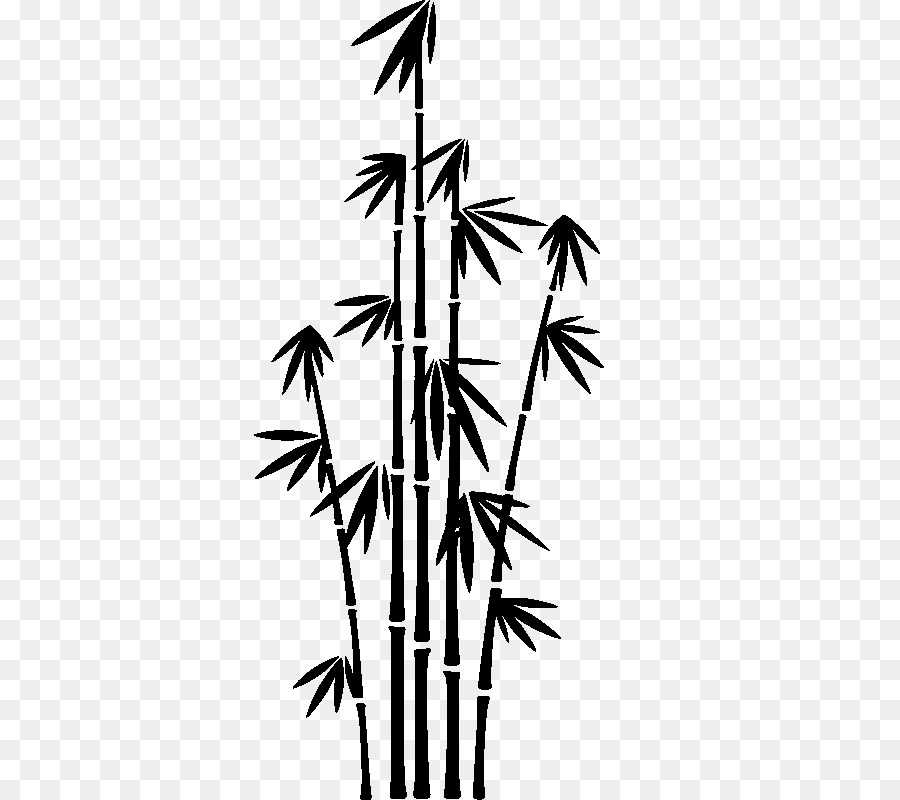 Bambú，Phyllostachys Nigra PNG