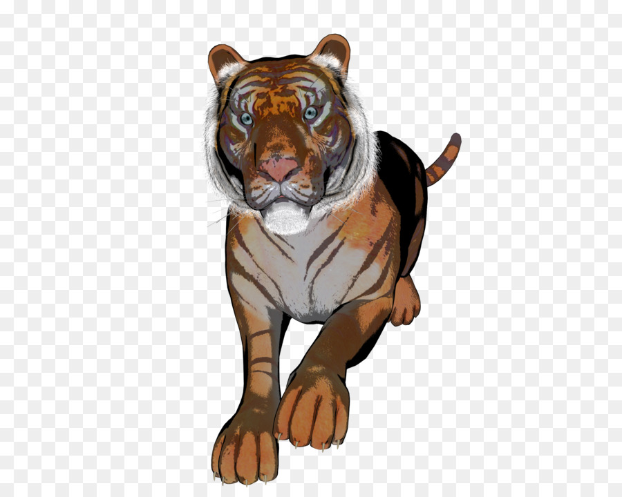 Tigre，Felino De Gran Tamaño PNG