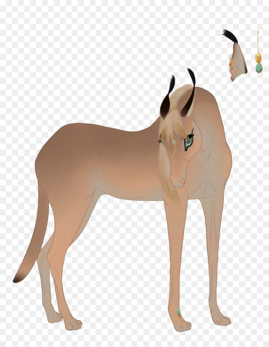 Mustang，Burro PNG