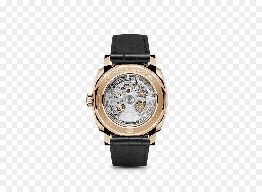 Reloj De Lujo，Reloj PNG