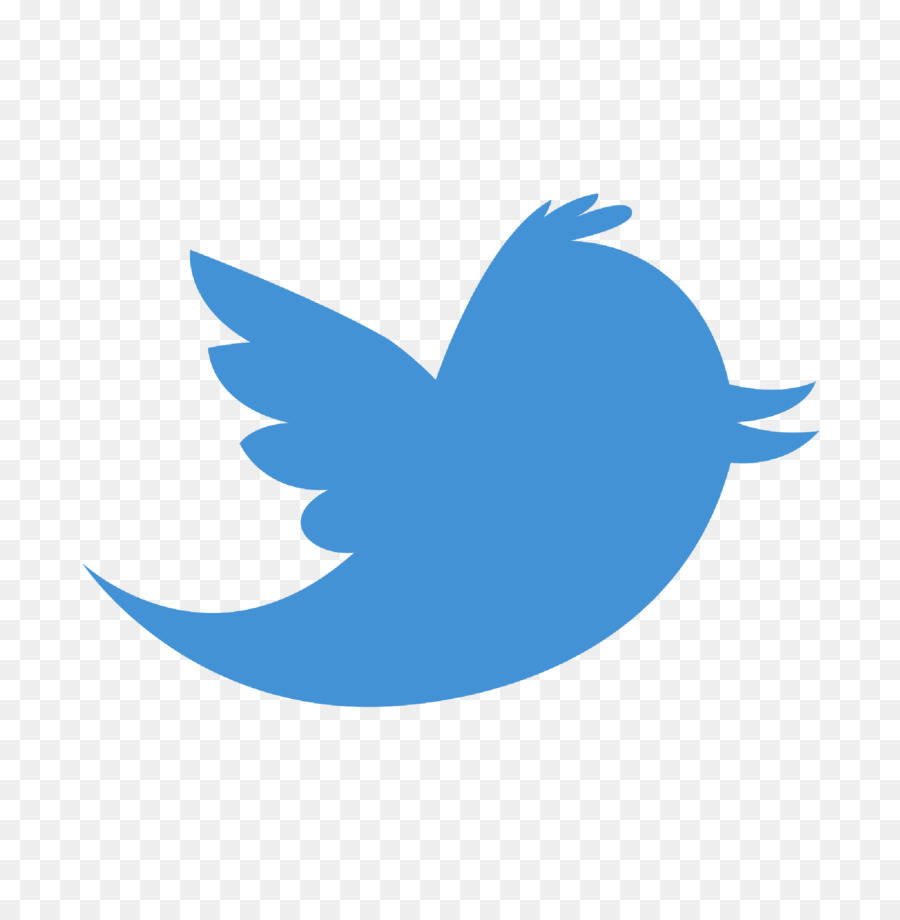 Logotipo De Twitter，Pájaro PNG