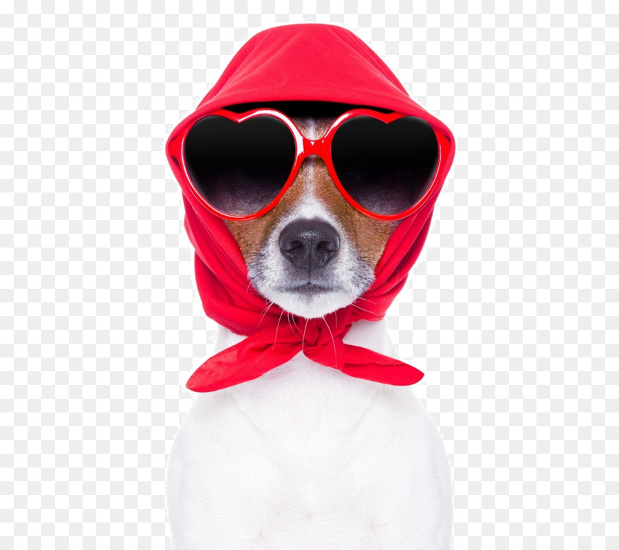 Perro，Mascota PNG