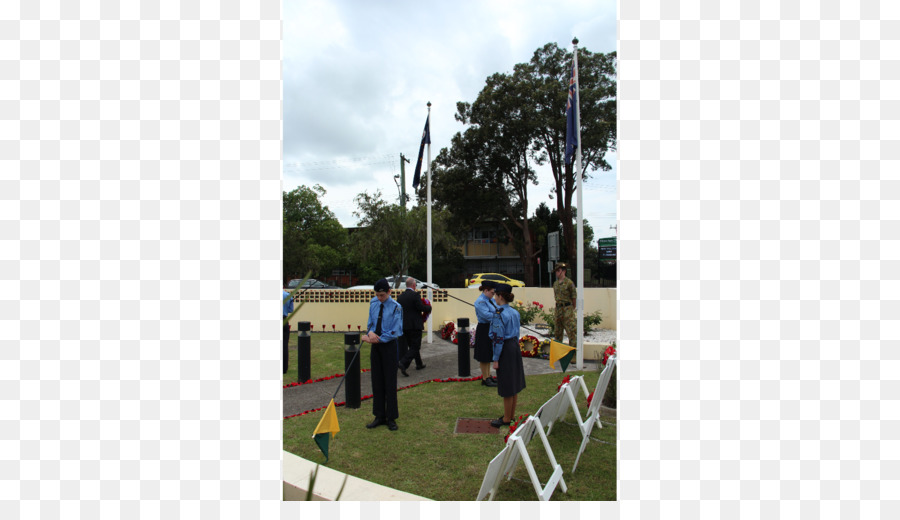 árbol，Propiedad PNG