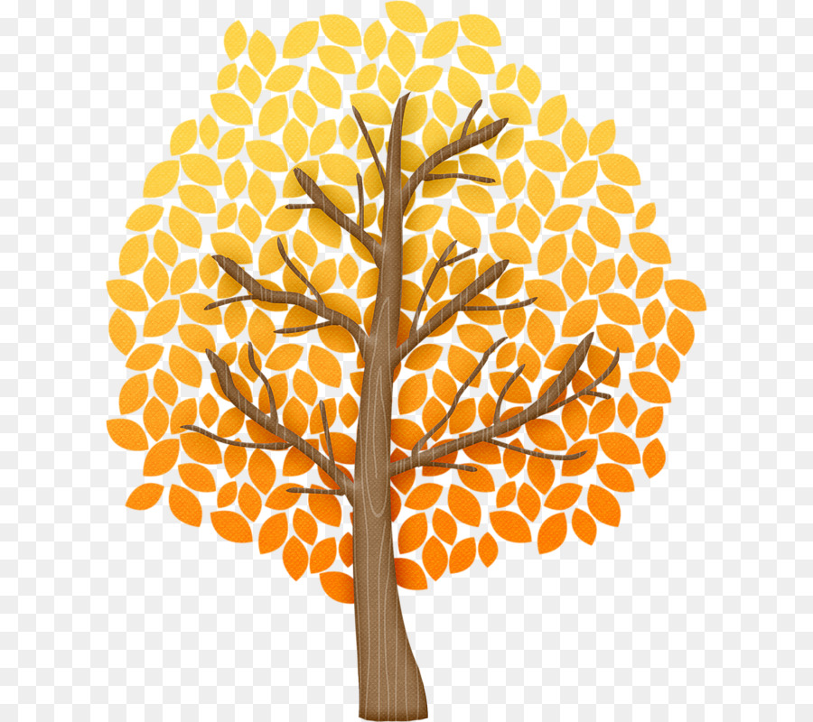 Árbol，Hojas PNG