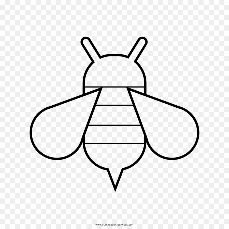 Abeja，Insecto PNG