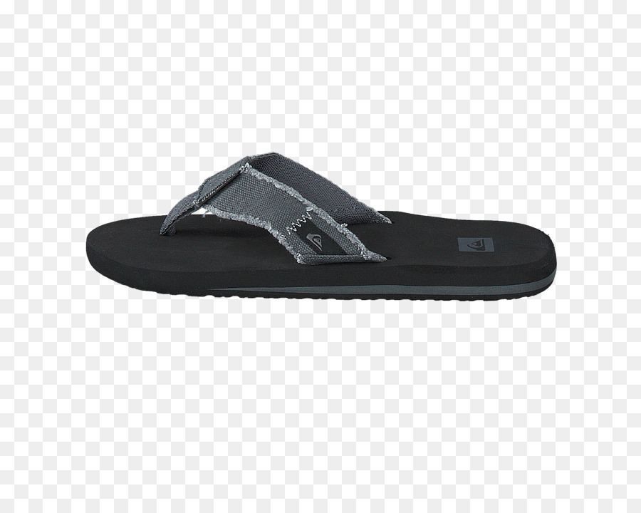 Zapatilla，Slipon Zapato PNG