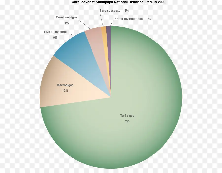 Gráfico Circular，Estadística PNG