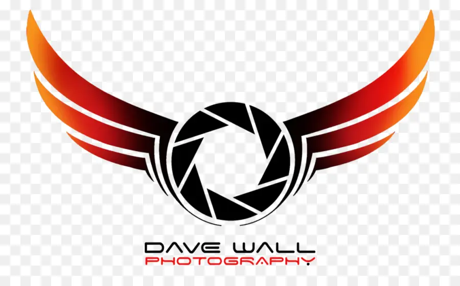 Logotipo，La Fotografía PNG