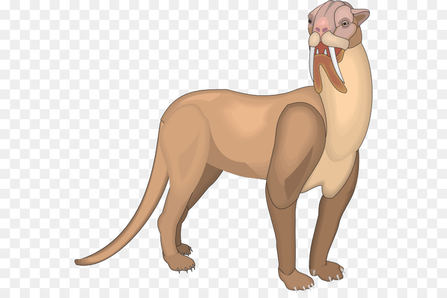 León，Felidae PNG