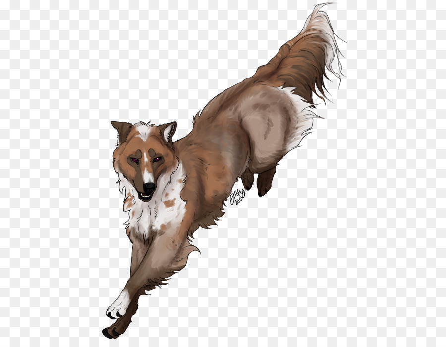 Raza De Perro，Perro PNG