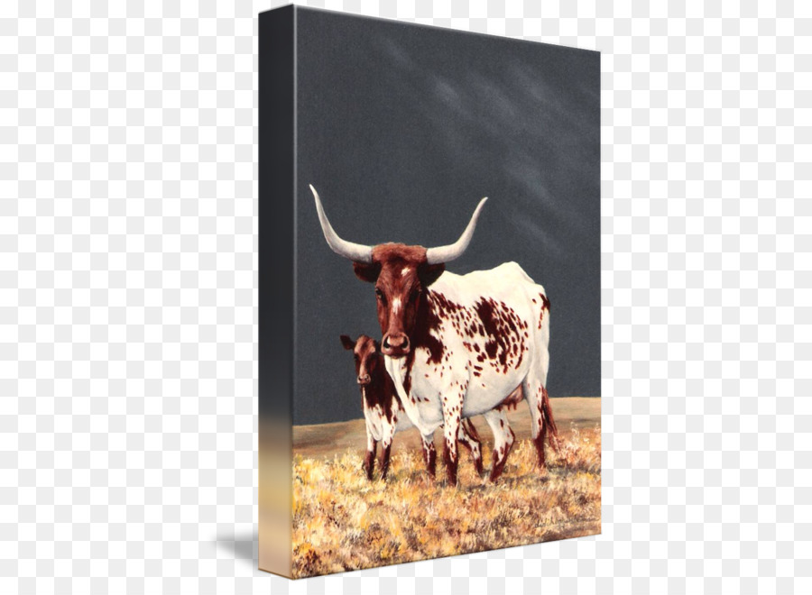 Texas Longhorn，Longhorn Inglés PNG