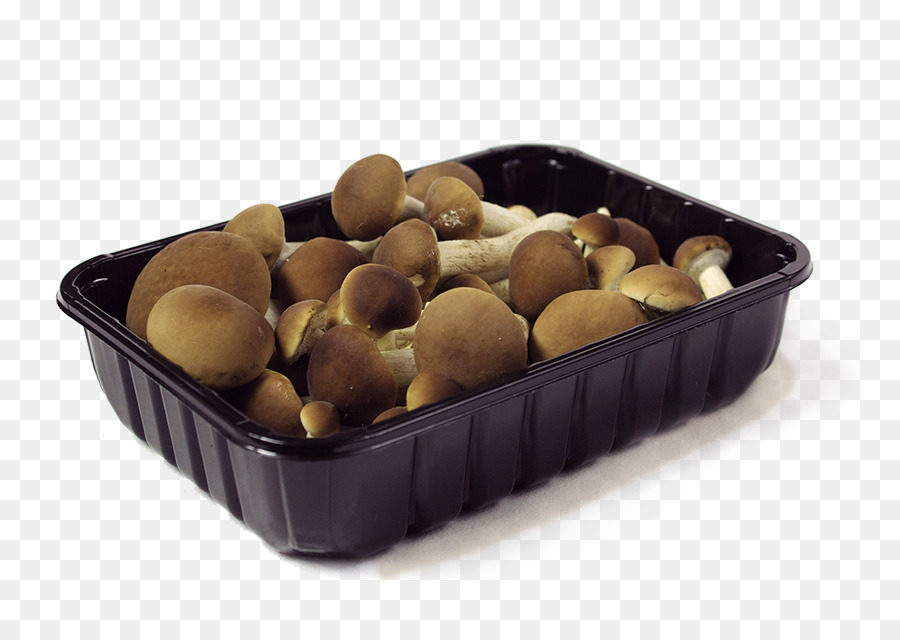 Macadamia，Seta PNG