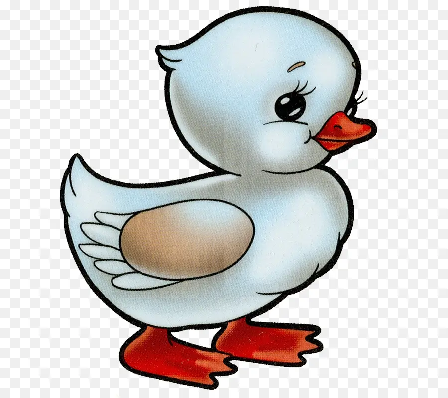 Pato，Pato Blanco PNG