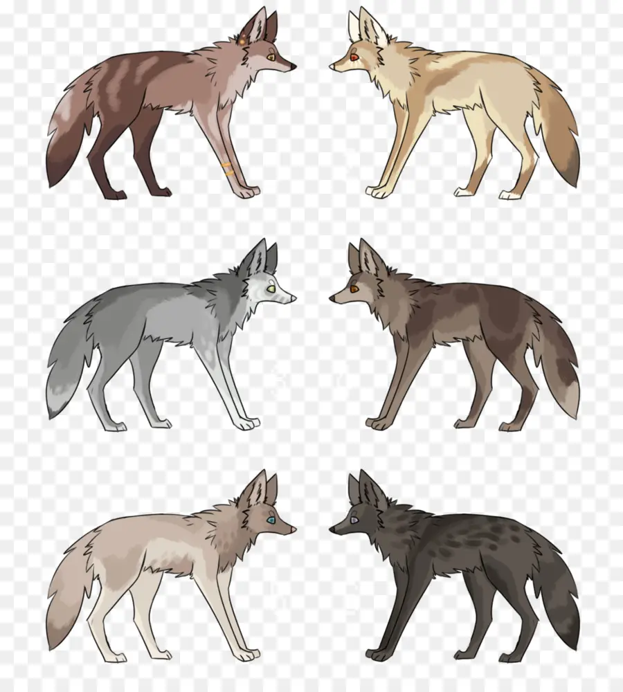 Lobos，Caninos PNG