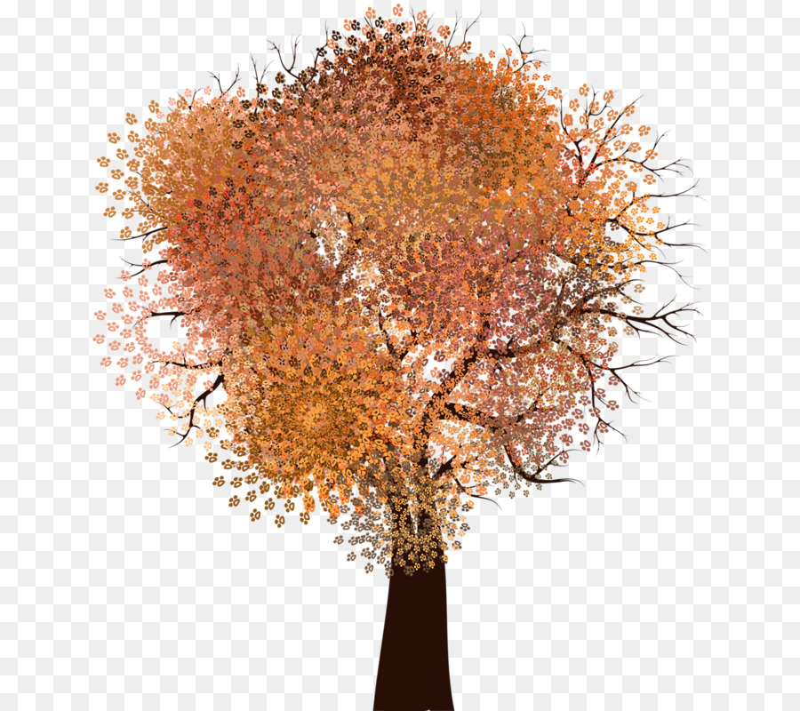 Árbol，Bosque PNG