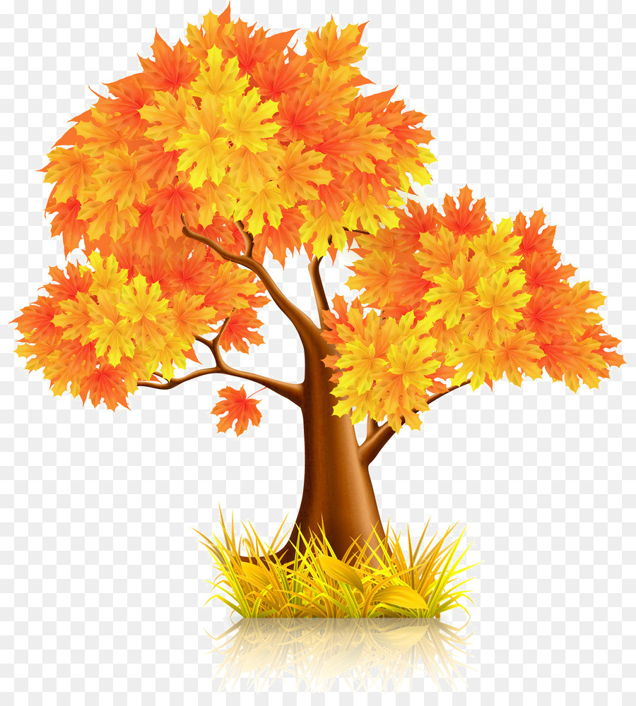 árbol De Otoño，Hojas PNG