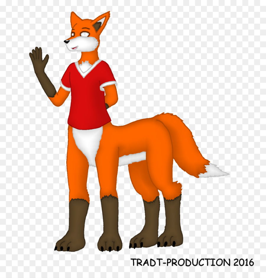 Fox，Gato PNG