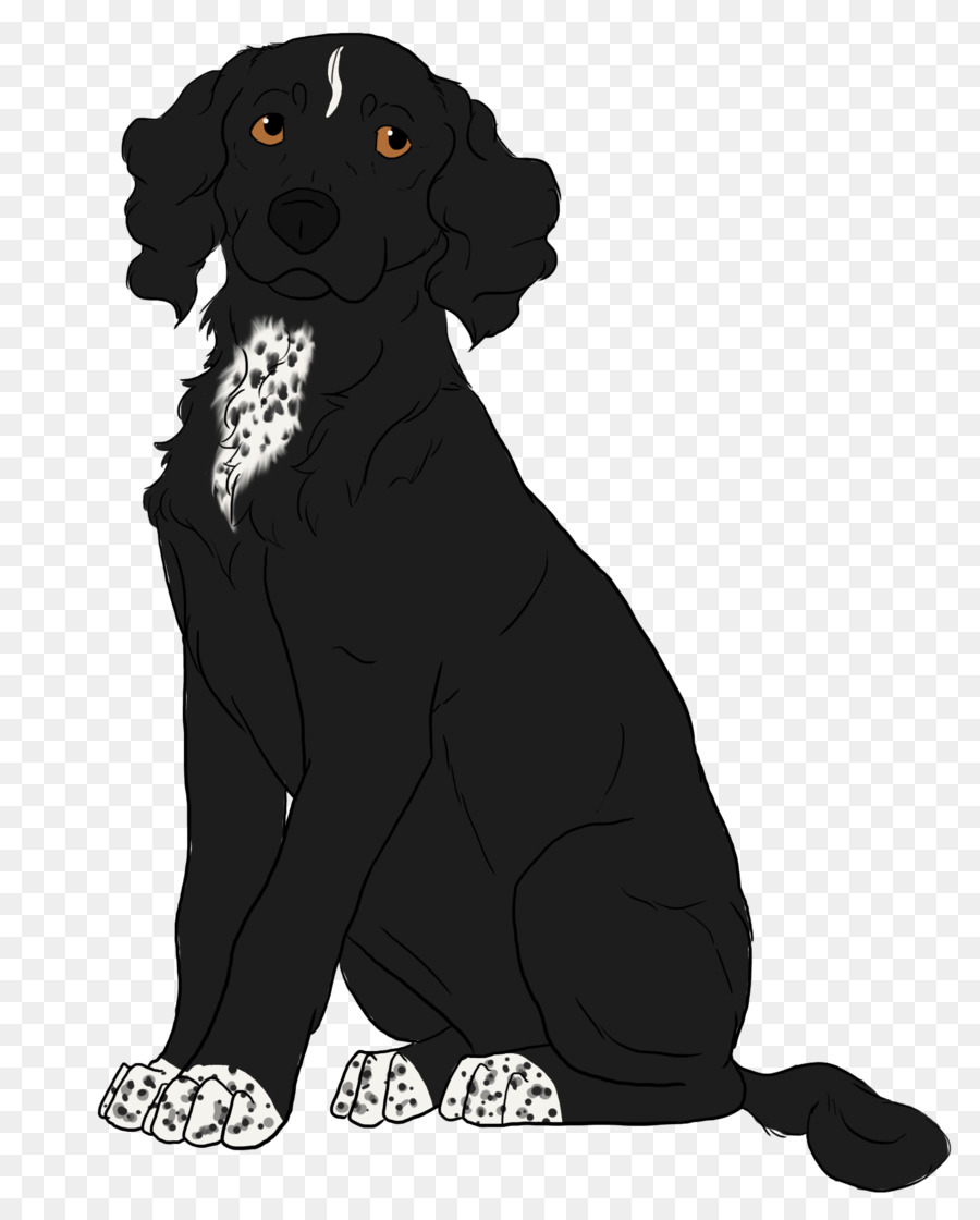 Labrador Retriever，Flatcoated Retriever PNG